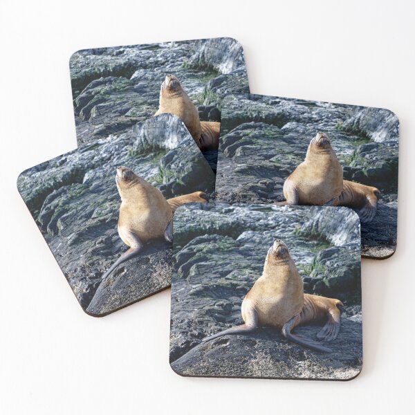Item preview, Sammy the sealion designed and sold by stevepaint.