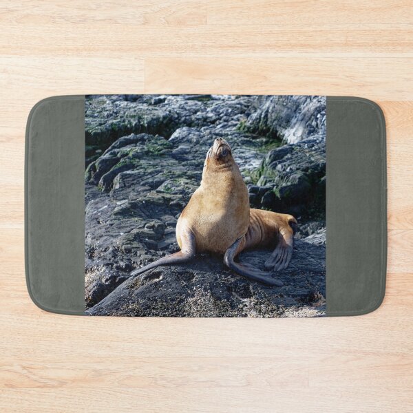 Item preview, Sammy the sealion designed and sold by stevepaint.
