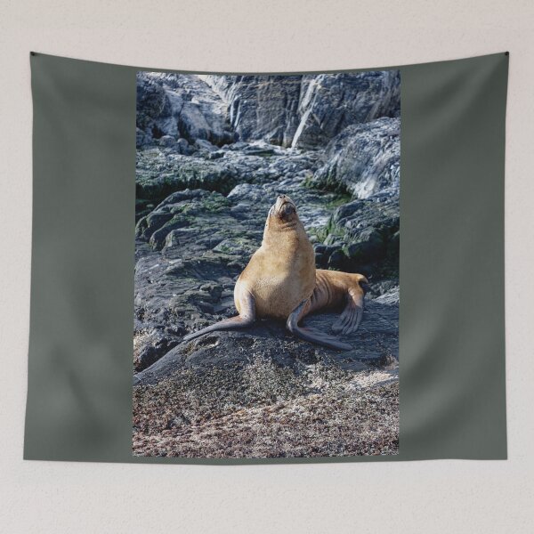 Item preview, Sammy the sealion designed and sold by stevepaint.