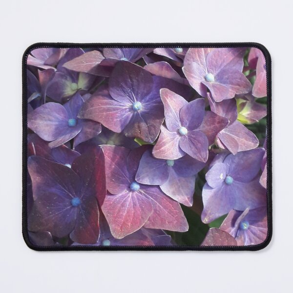 Item preview, Hydry designed and sold by Scherart.
