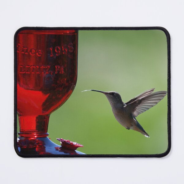 Item preview, Hummingbird at feeder  designed and sold by Cblifeisgood.