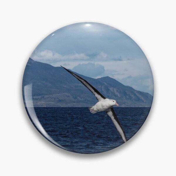 Item preview, albatros wandering the ocean designed and sold by stevepaint.