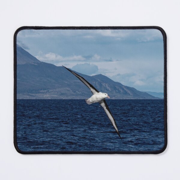 Item preview, albatros wandering the ocean designed and sold by stevepaint.