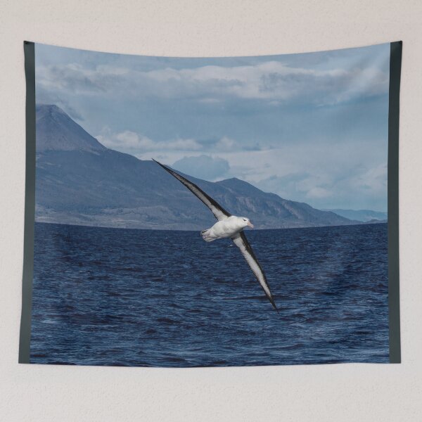Item preview, albatros wandering the ocean designed and sold by stevepaint.