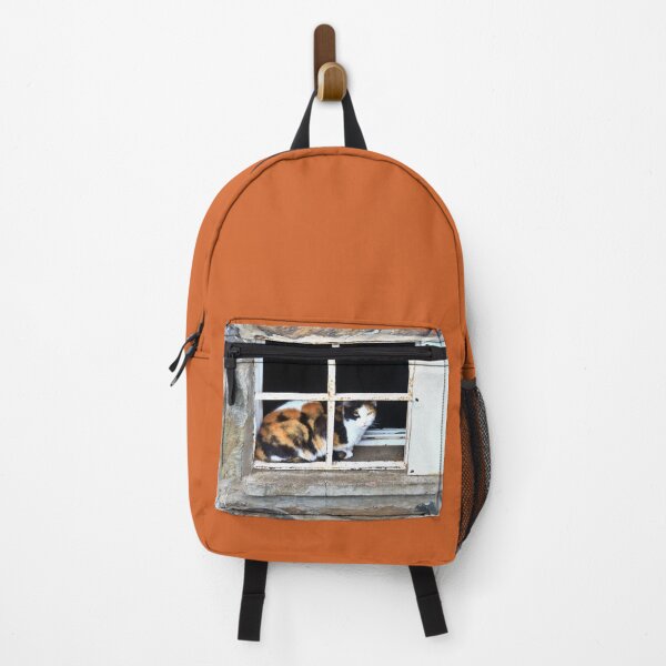 Item preview, Calico Cat Sitting behind Window of Old Building designed and sold by KaSaPo.