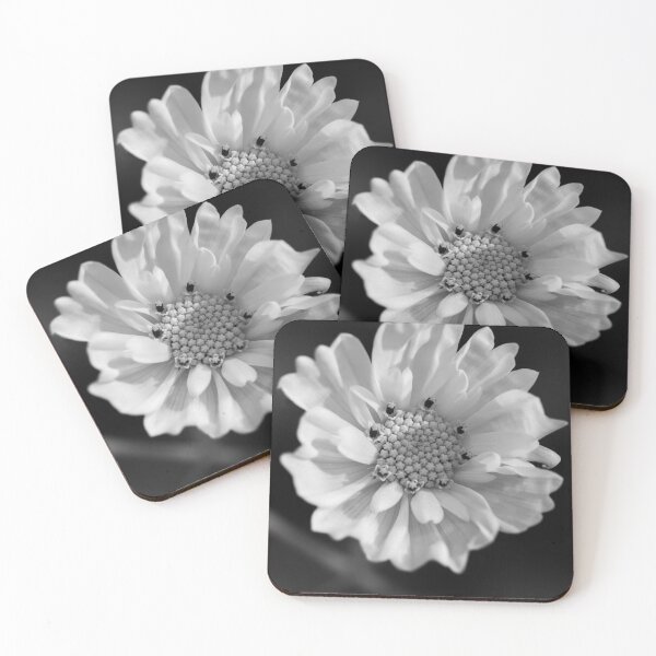 Artikelvorschau, Monochrome Cosmos entworfen und verkauft von Cblifeisgood.