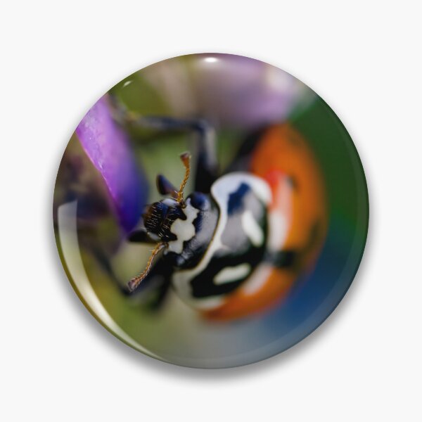 Artikelvorschau, Ladybug entworfen und verkauft von Cblifeisgood.