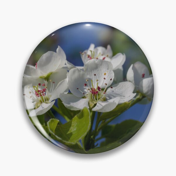 Item preview, Plum tree blossom  designed and sold by Cblifeisgood.