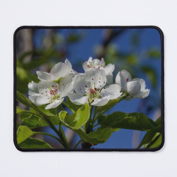 Item preview, Plum tree blossom  designed and sold by Cblifeisgood.