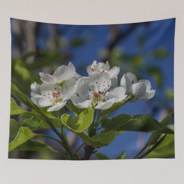 Item preview, Plum tree blossom  designed and sold by Cblifeisgood.