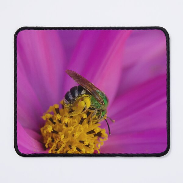 Item preview, Green Sweat Bee designed and sold by Cblifeisgood.