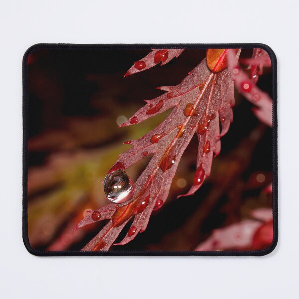 Item preview, Rain on leaves designed and sold by Cblifeisgood.