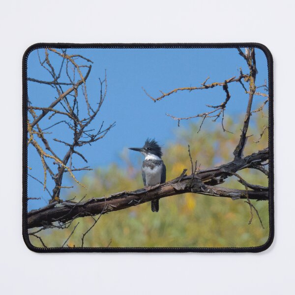 Item preview, Belted Kingfisher designed and sold by Cblifeisgood.