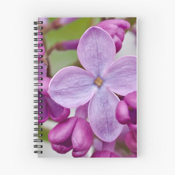 Item preview, Lilac Buds designed and sold by Cblifeisgood.