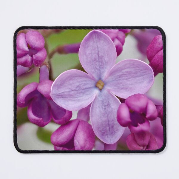 Item preview, Lilac Buds designed and sold by Cblifeisgood.