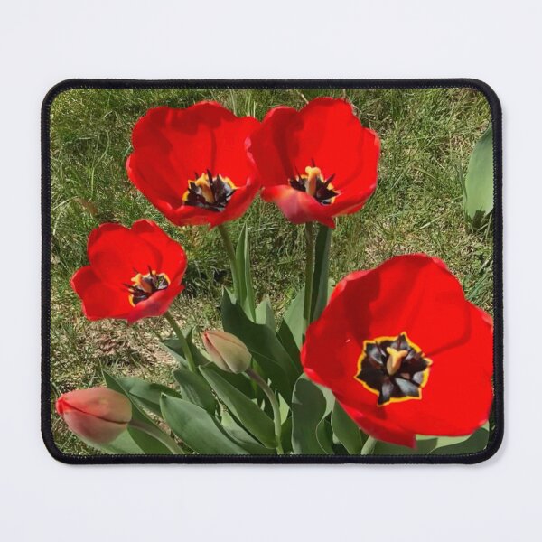 Item preview, Red Tulips  designed and sold by Amanda1775.