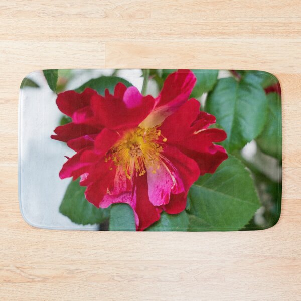 Item preview, Red Rose with Multihued Petals in Magenta and Hot Pink designed and sold by Georgia Mizuleva.