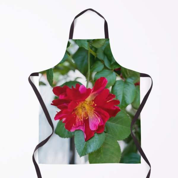 Item preview, Red Rose with Multihued Petals in Magenta and Hot Pink designed and sold by Georgia Mizuleva.