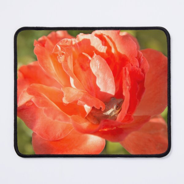 Item preview, Frog in the red rose designed and sold by Zina Stromberg.