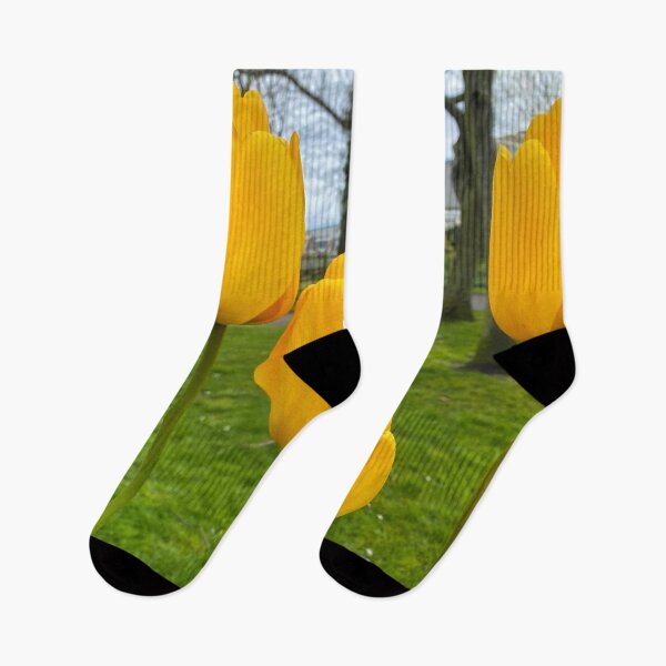 Item preview, Yellow Tulips designed and sold by Violaman.