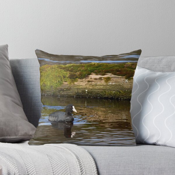 Item preview, White nose week. Eurasian coot designed and sold by Jouko Lehto Photography.