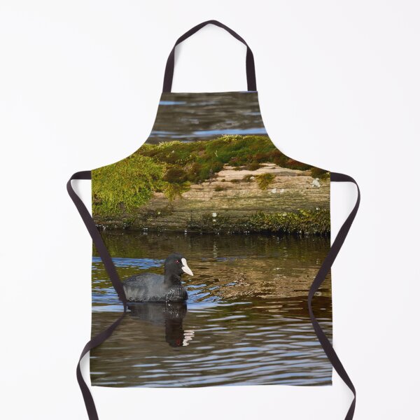 Item preview, White nose week. Eurasian coot designed and sold by Jouko Lehto Photography.