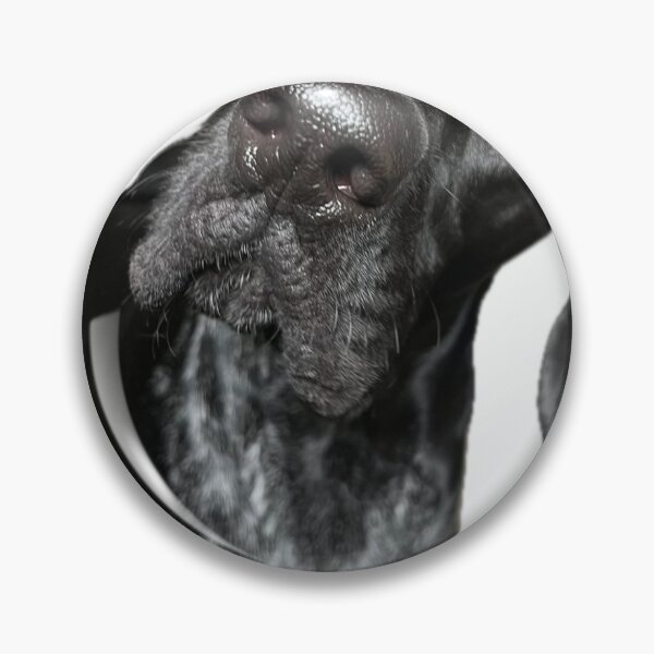 Item preview, Rico the GSP designed and sold by Ari Cirillo.
