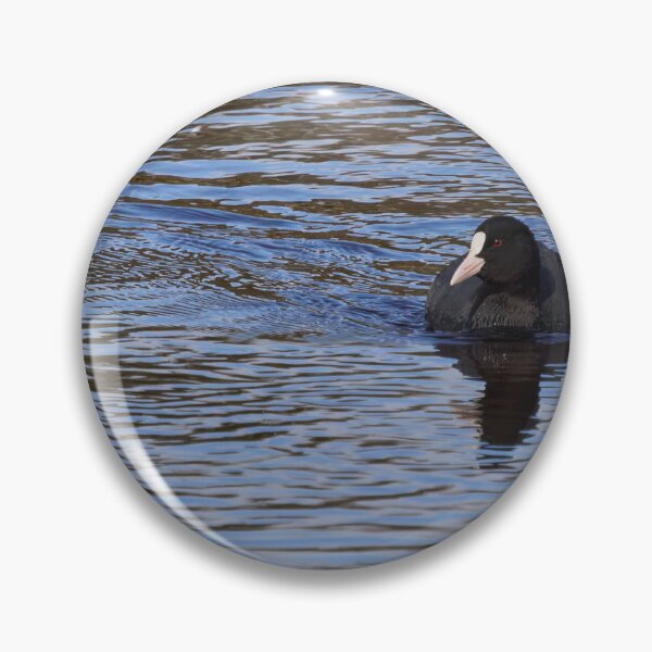 Item preview, On the blue. Eurasian coot designed and sold by Jouko Lehto Photography.