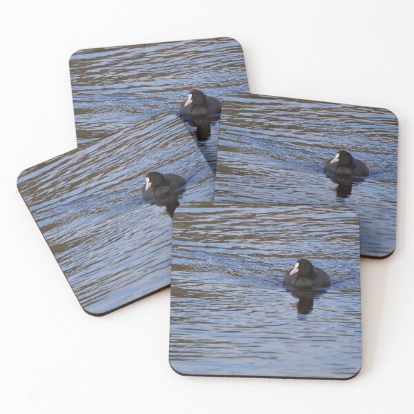 Item preview, En el azul. focha euroasiática designed and sold by Jouko Lehto Photography.