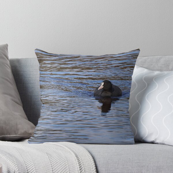 Item preview, On the blue. Eurasian coot designed and sold by Jouko Lehto Photography.
