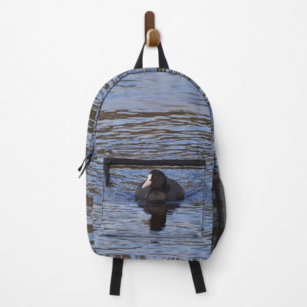 Item preview, On the blue. Eurasian coot designed and sold by Jouko Lehto Photography.