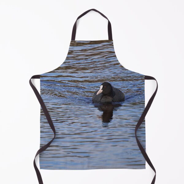 Item preview, On the blue. Eurasian coot designed and sold by Jouko Lehto Photography.