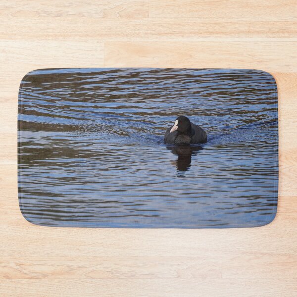 Item preview, On the blue. Eurasian coot designed and sold by Jouko Lehto Photography.