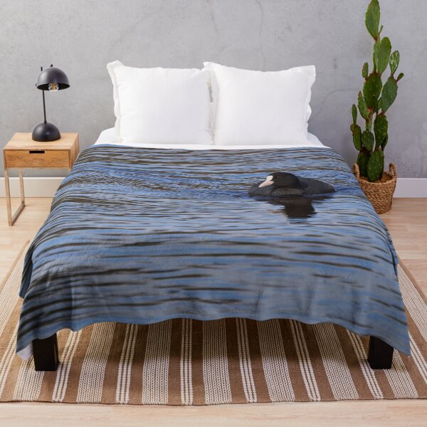 Item preview, On the blue. Eurasian coot designed and sold by Jouko Lehto Photography.