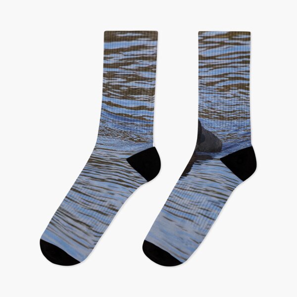 Item preview, On the blue. Eurasian coot designed and sold by Jouko Lehto Photography.