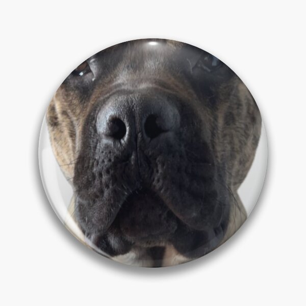 Item preview, Parpadea el Presa Canario designed and sold by Ari Cirillo.