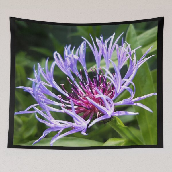 Item preview, Cornflower  designed and sold by amanda150771.