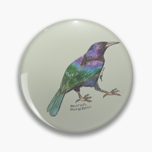 Item preview, Shiny Cowbird (Molothus bonaerensis) designed and sold by Gege-16.