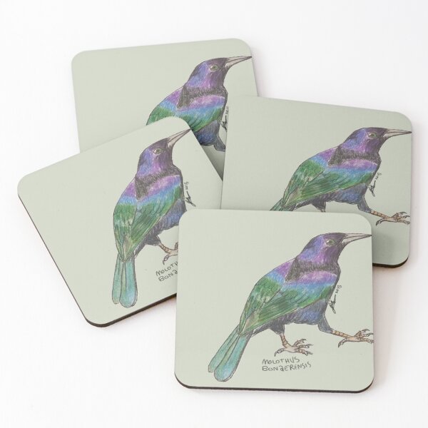 Item preview, Shiny Cowbird (Molothus bonaerensis) designed and sold by Gege-16.