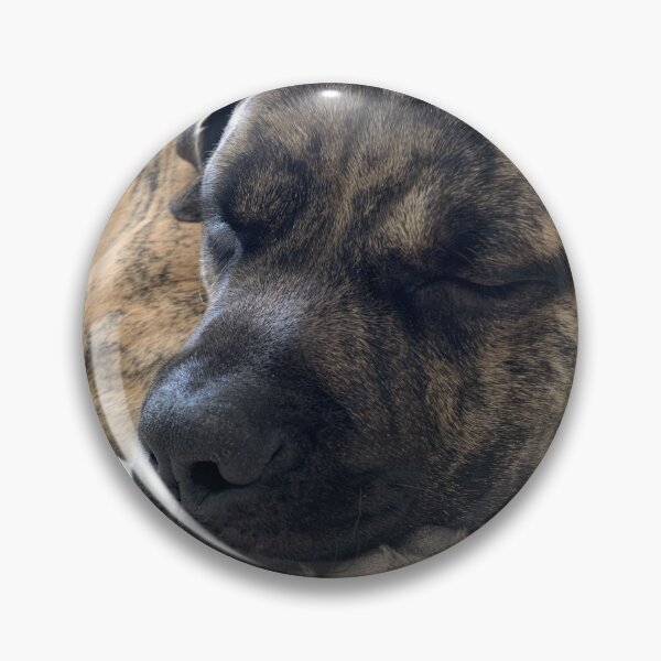 Item preview, Blinky Sleepy designed and sold by Ari Cirillo.
