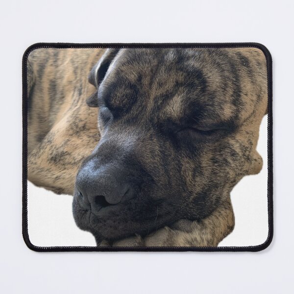 Item preview, Blinky Sleepy designed and sold by Ari Cirillo.
