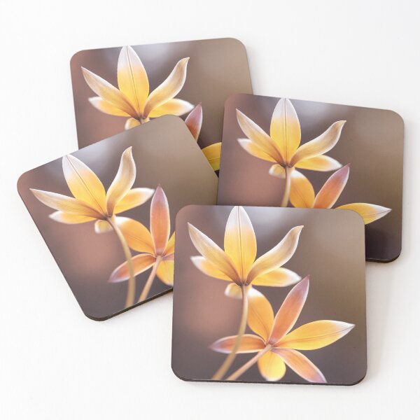 Artikelvorschau, Gelbe botanische Tulpen entworfen und verkauft von Catrinann.