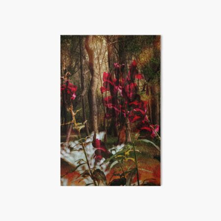 Item preview, Majestic forest designed and sold by NatureofJoy.