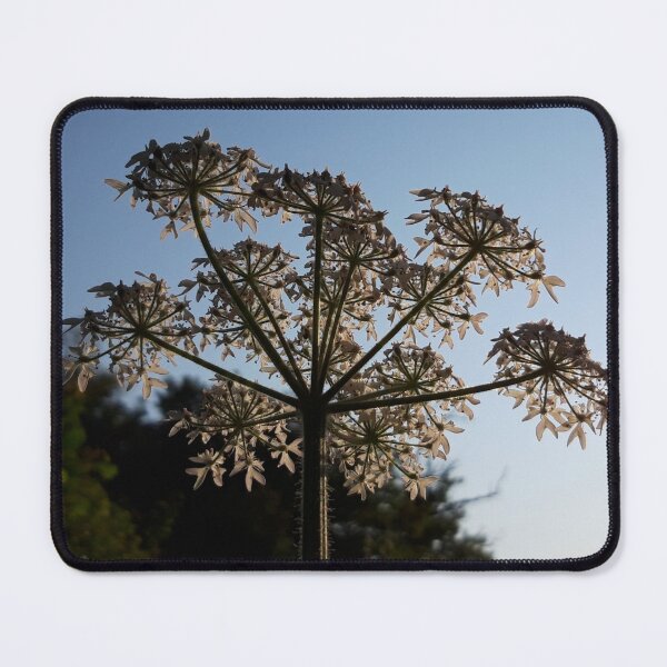 Item preview, Wildflower designed and sold by amanda150771.