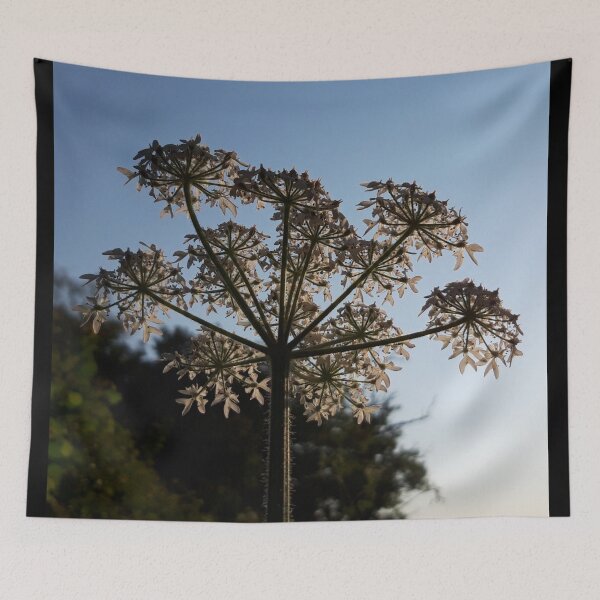 Item preview, Wildflower  designed and sold by amanda150771.