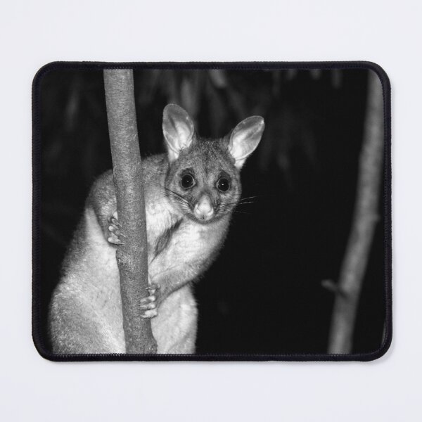 Item preview, © Australian brushtail possum designed and sold by GeoPipics.