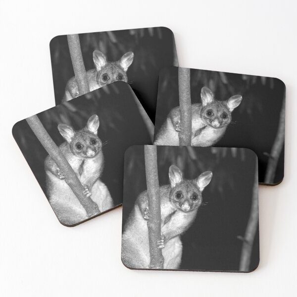 Item preview, © Australian brushtail possum designed and sold by GeoPipics.