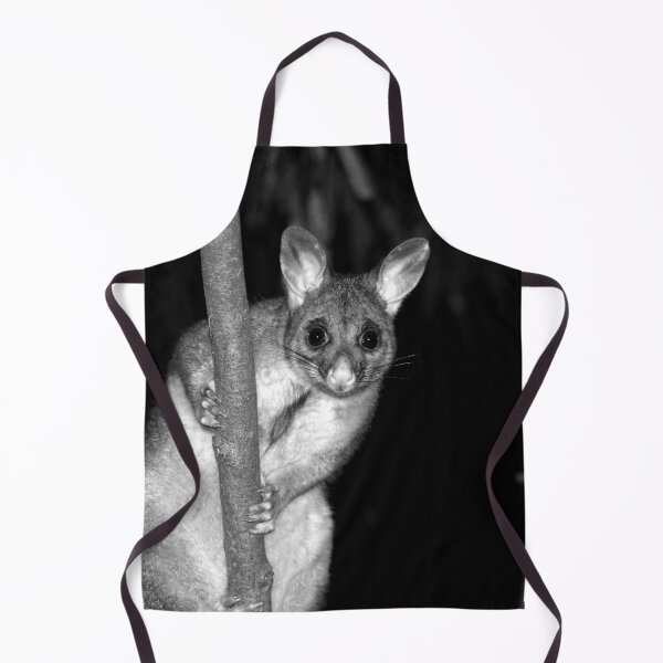 Item preview, © Australian brushtail possum designed and sold by GeoPipics.