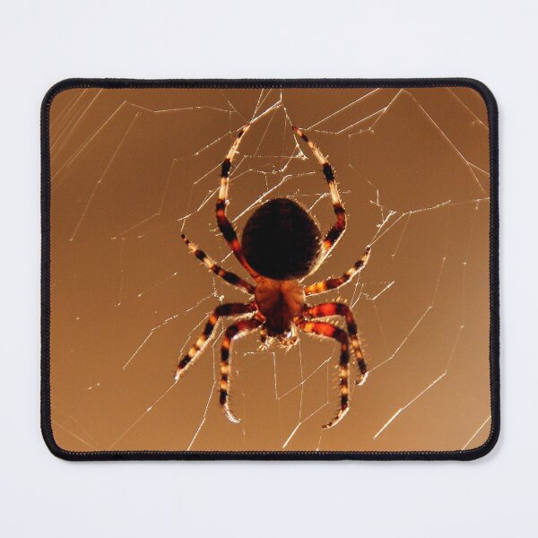 Item preview, Spidey designed and sold by heatherfriedman.