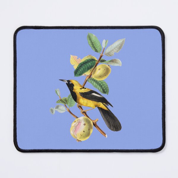 Item preview, Golden Wings: A Jacamar's Flight designed and sold by EyeArt Studio.